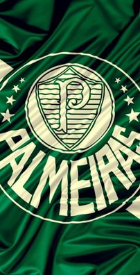 Foto de Palmeiras