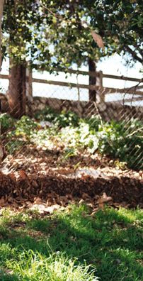 Foto de Cameron Winter