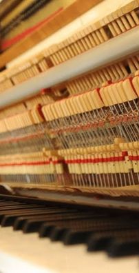 Foto de André Carnero