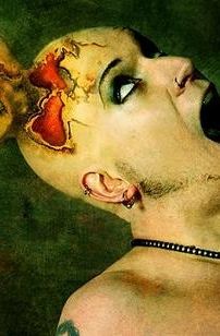 Foto de Miss Construction