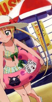 Foto de Hayate no Gotoku