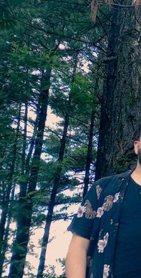 Foto de Gorila Muy Loco