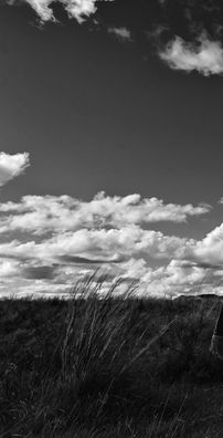 Foto de Leonardo Quadros