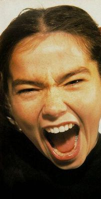 Foto de Björk