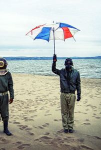 Foto de Swimming With Dolphins