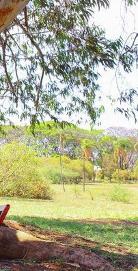 Foto de Enio Jr & Matheus