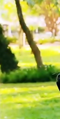 Foto de Duda Furacão