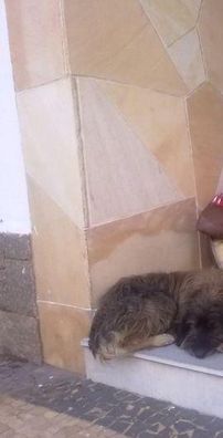 Foto de Vilson Campos Paula