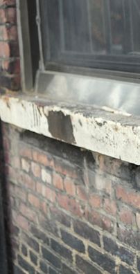 Foto de Colbie Caillat