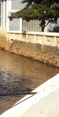 Foto de Victor Henrique