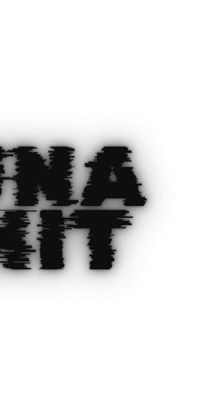 Foto de Bird Vauro Records