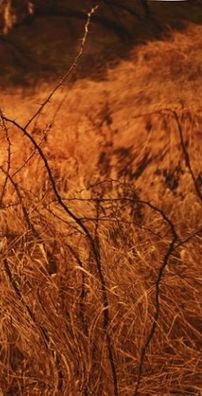 Foto de My Personal Murderer