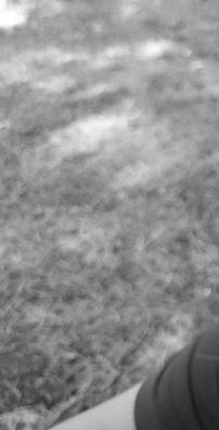 Foto de Aline Araujo