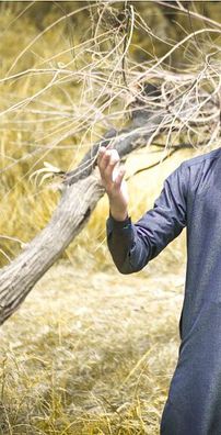 Foto de Farhan Ali Qadri