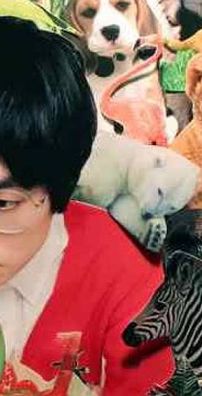 Foto de The Black Skirts