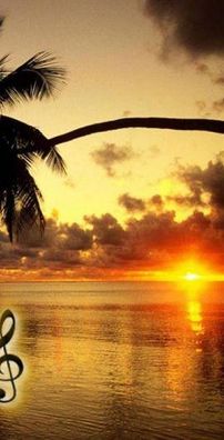 Foto de Banda Compor do Sol