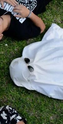 Foto de Projeto Hare