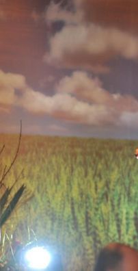 Foto de Luzia Barbosa