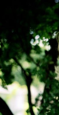 Foto de Lenny Barros