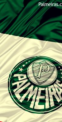 Foto de Palmeiras