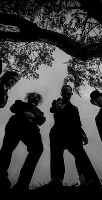 Foto de Coffinshakers