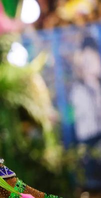 Foto de G.R.E.S. Estação Primeira de Mangueira (RJ)