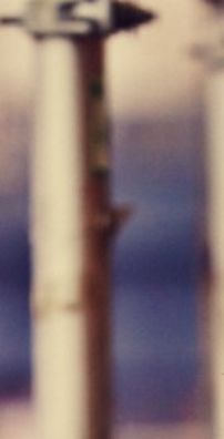 Foto de Jarle Bernhoft