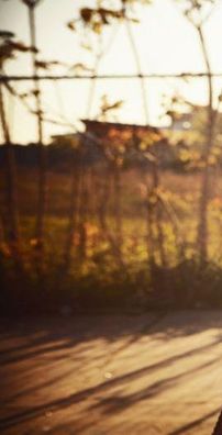 Foto de Emilie Simon