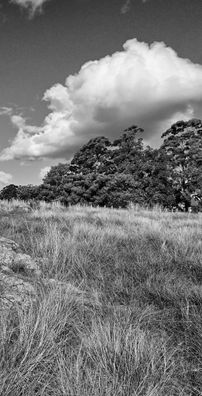 Foto de Leonardo Quadros