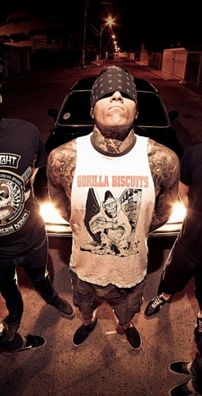 Foto de Mais Que Palavras