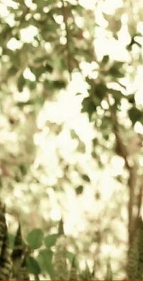 Foto de Lucas Senzalla