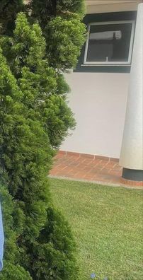 Foto de Ronoaldo Pelaquin