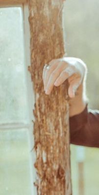 Foto de Jason Isbell