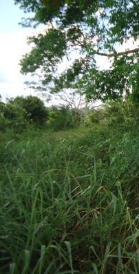 Foto de Edinaldo Luz