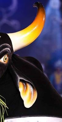 Foto de Boi Caprichoso