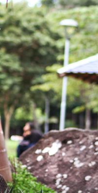 Foto de Denisson Nunes