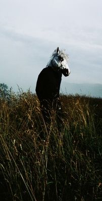 Foto de Sparklehorse