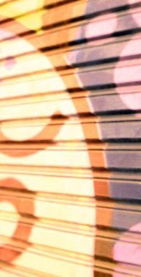 Foto de Marina Wisnik