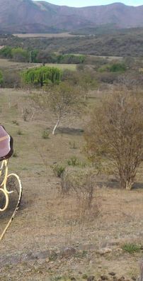 Foto de Luis Reinaldi