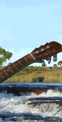 Foto de Mauro da Nóbrega