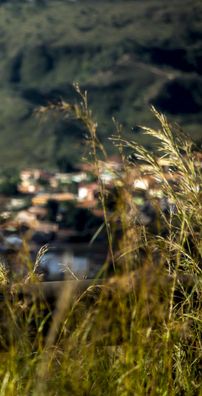 Foto de Roberto Zens