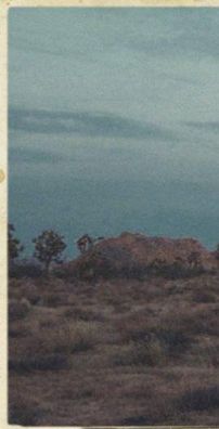 Foto de Willow Robinson