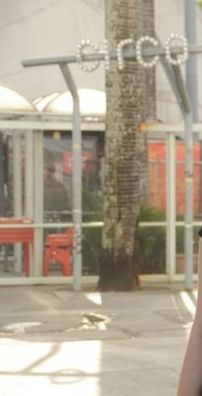 Foto de Alessandra Garcia