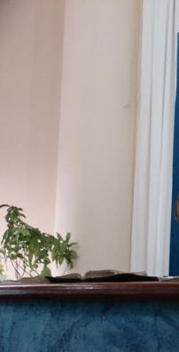 Foto de Cristina Santana