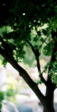 Foto de Lenny Barros