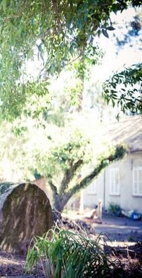 Foto de The Kira Justice