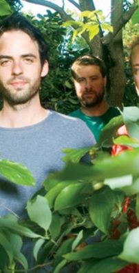 Foto de Clap Your Hands Say Yeah