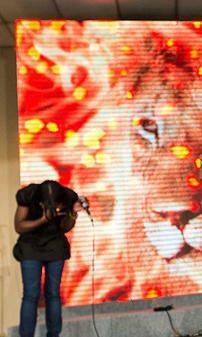 Foto de The Lions Face