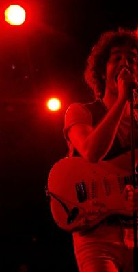 Foto de Albert Hammond Jr.