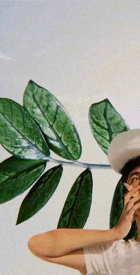 Foto de Rafael Domingos